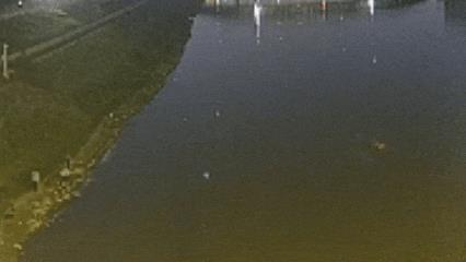 DƬ